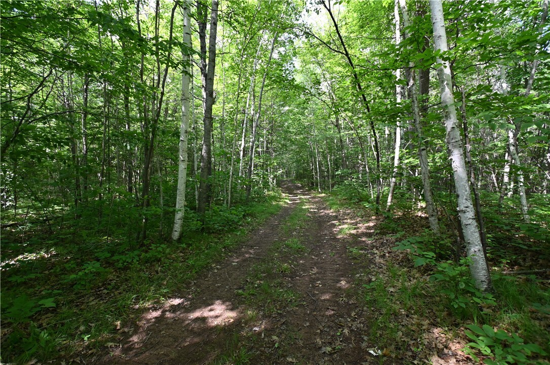 Property Photo:  Xx Railroad Road  WI 54849 