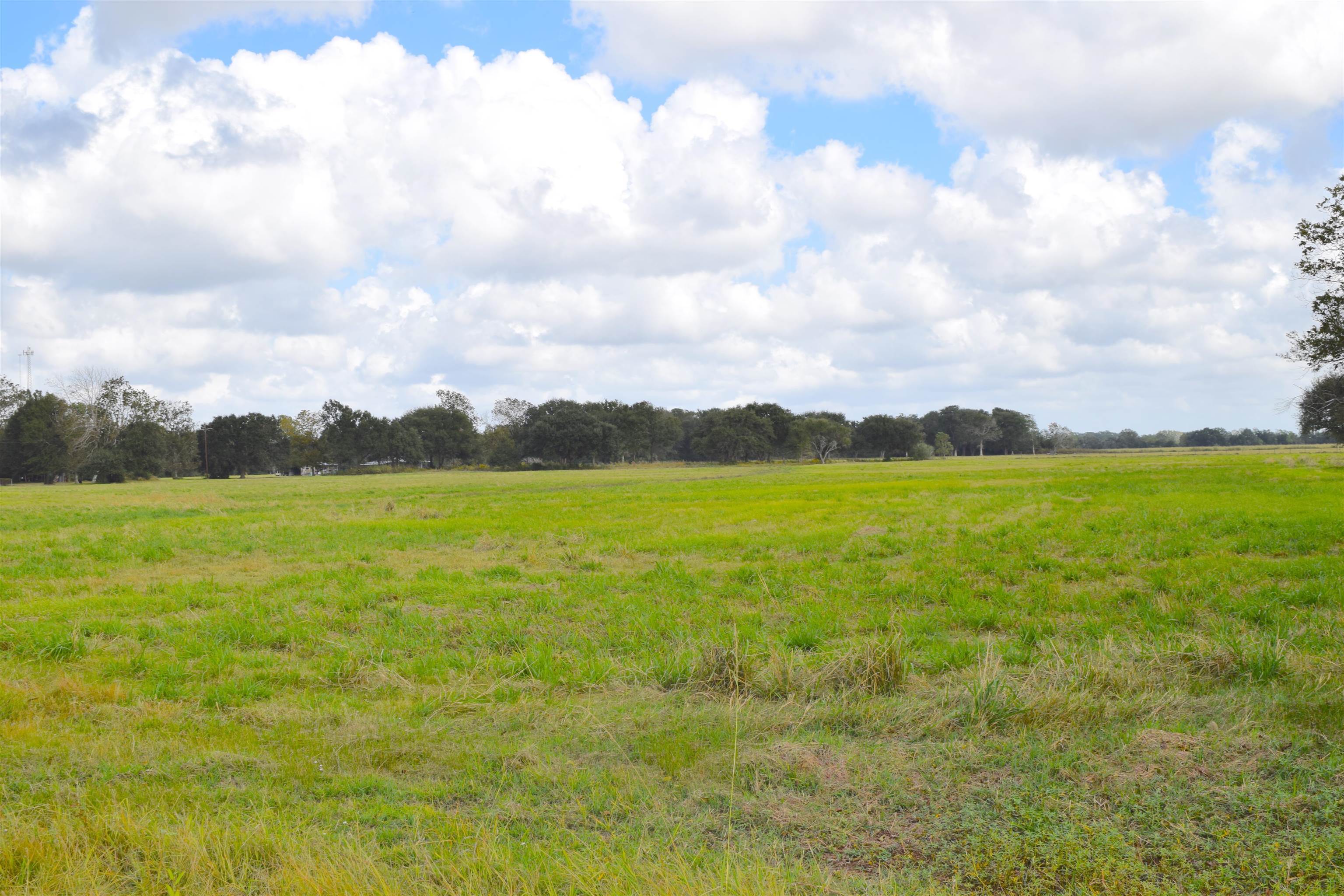 Property Photo: 16295 Wise Rd TX 77622