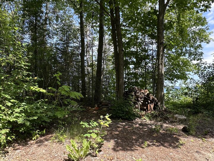 Property Photo: Lot 9 W US 23 Highway MI 49721