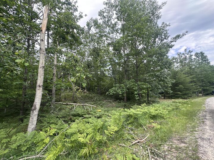 Property Photo: Lot 1634 Partridge Place MI 49735