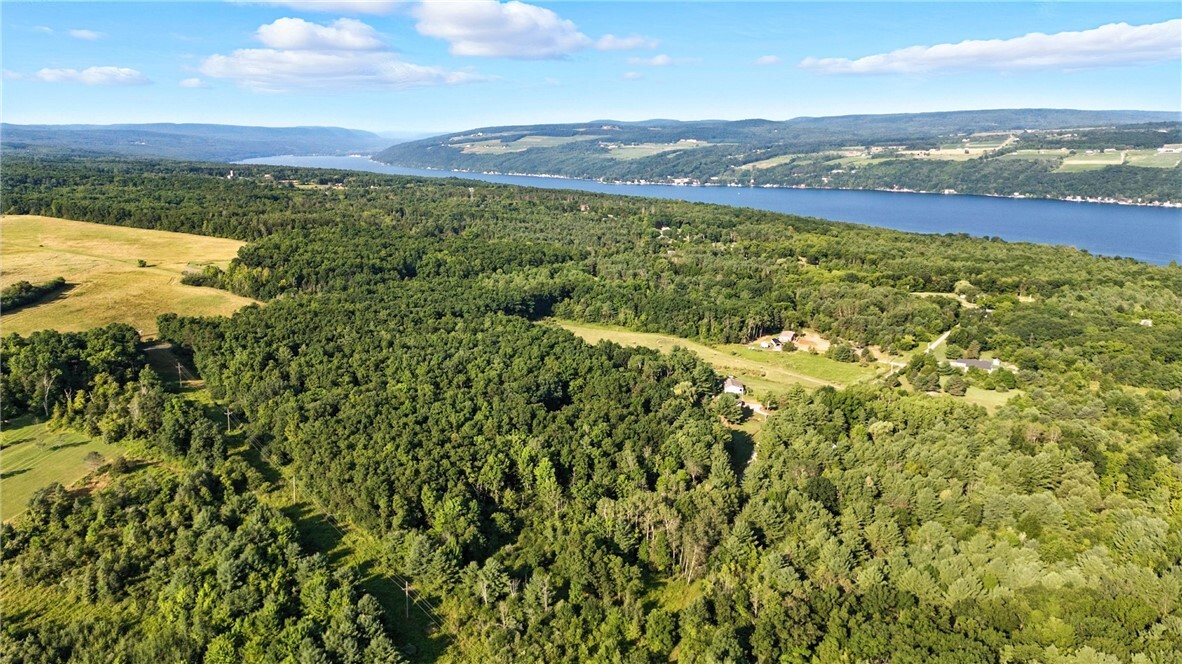 Property Photo:  Silsbee Road  NY 14840 