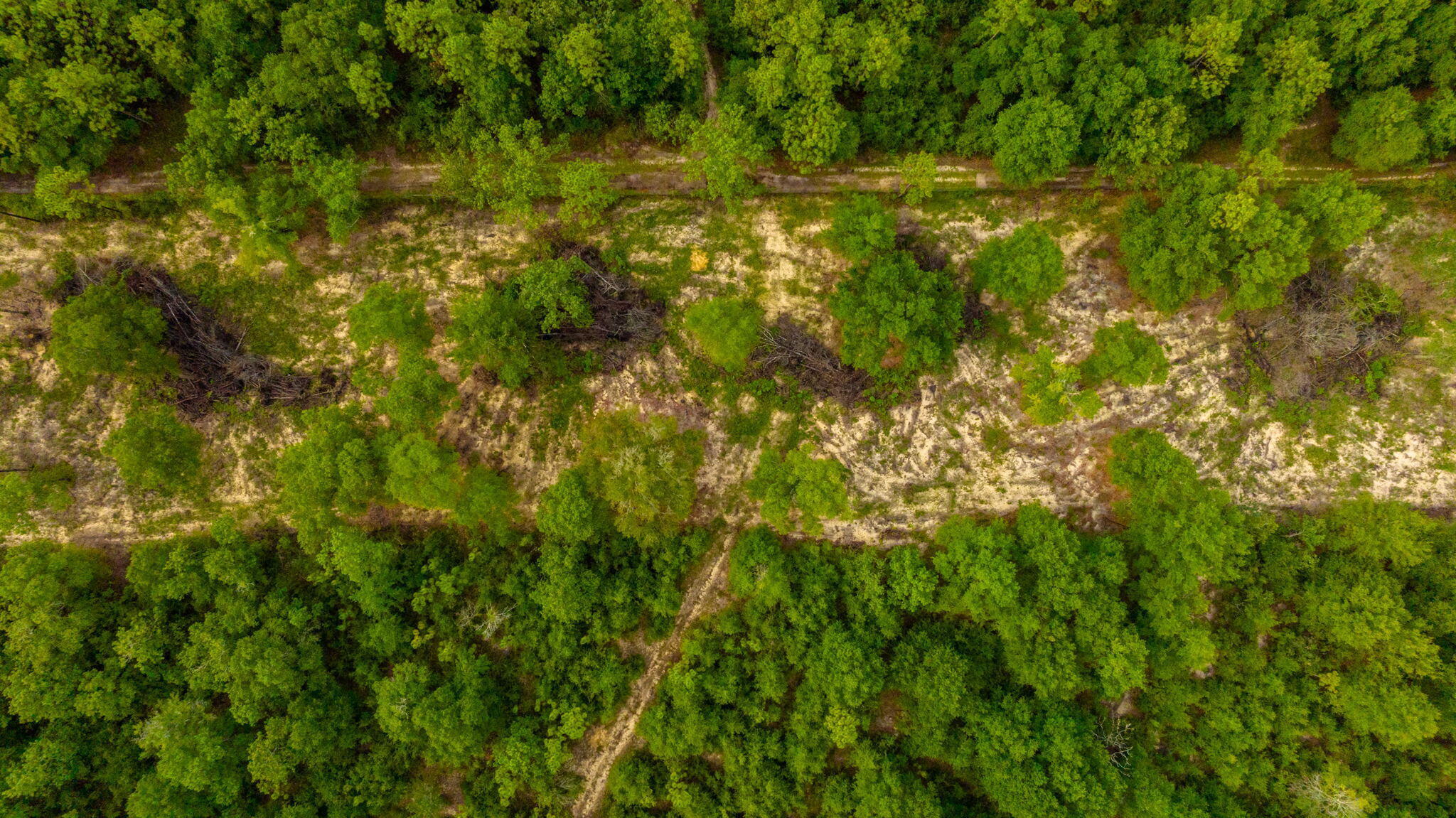 Property Photo: F-9 Long Branch Farm Road FL 32531