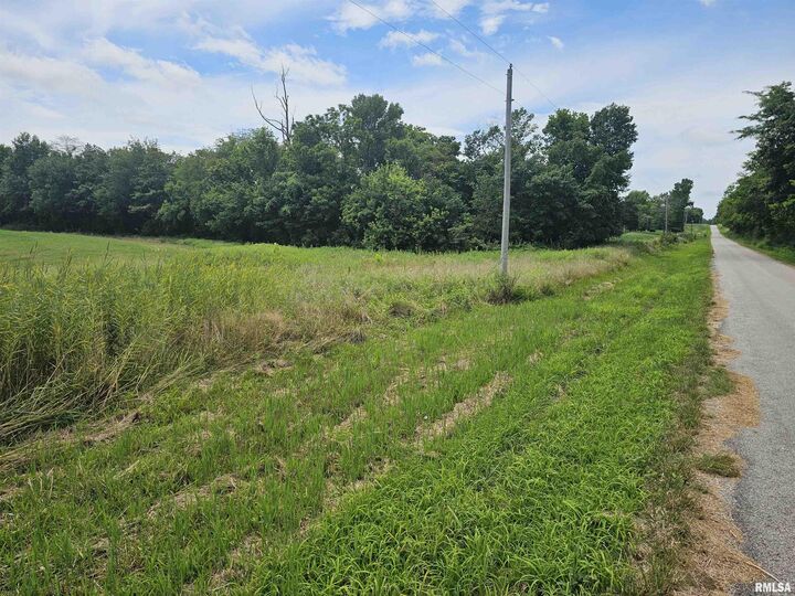 Property Photo: 0000 Roseborough Road IL 62286