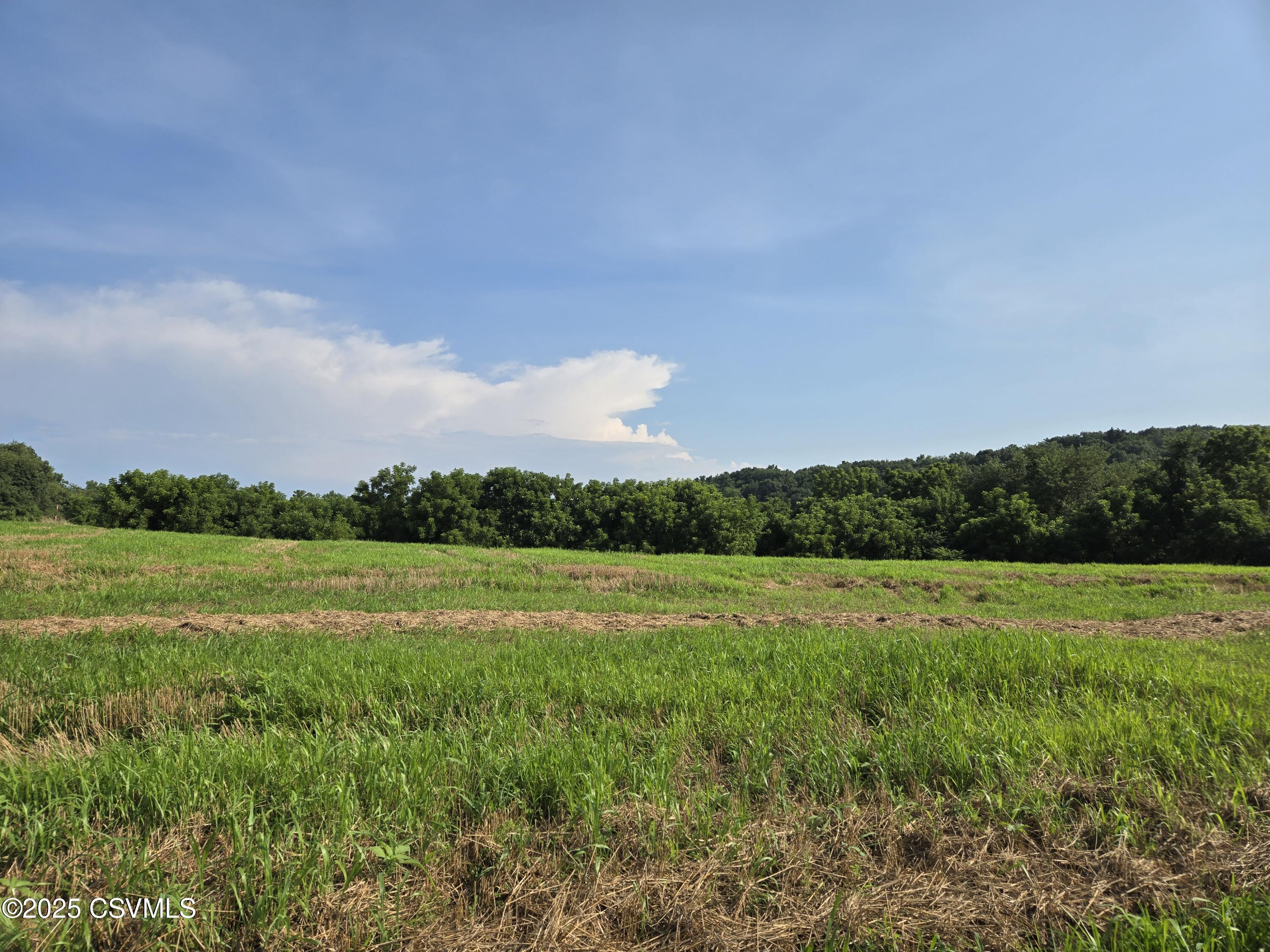 Property Photo: Mowery Road PA 17821