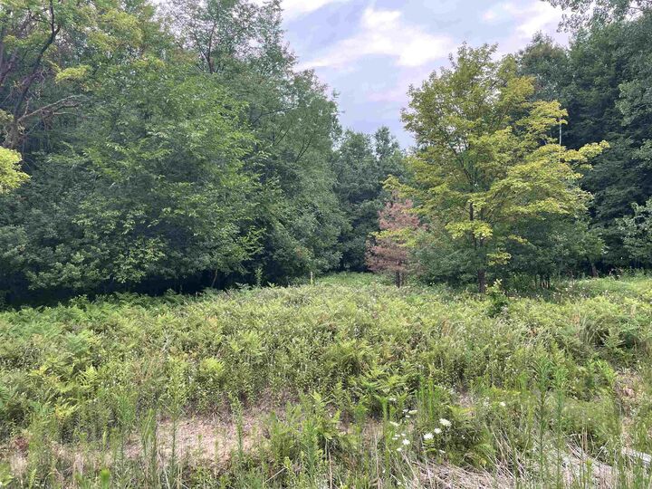 Property Photo: 0 Moorish Road MI 48415