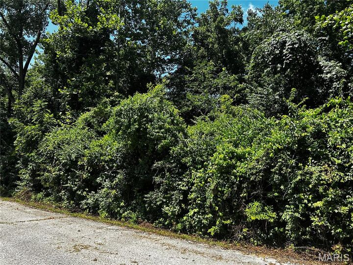 204 Incline Village  (Cypress Ct)  Unincorporated MO 63348 photo