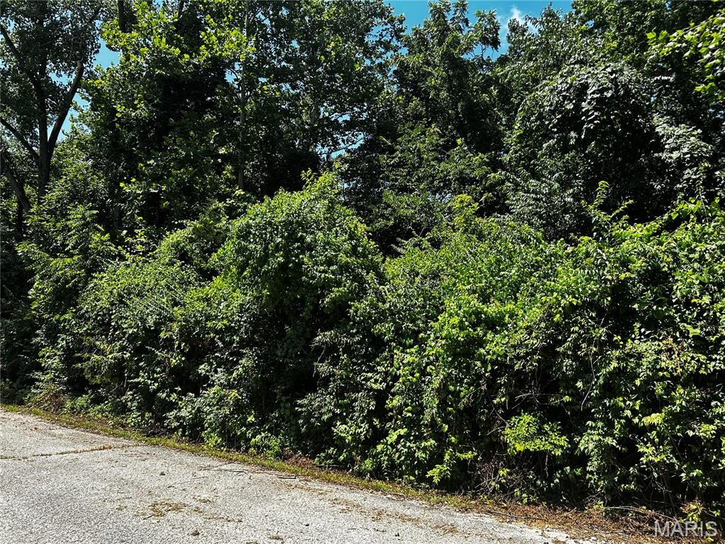 Property Photo:  204 Incline Village  (Cypress Ct)  MO 63348 