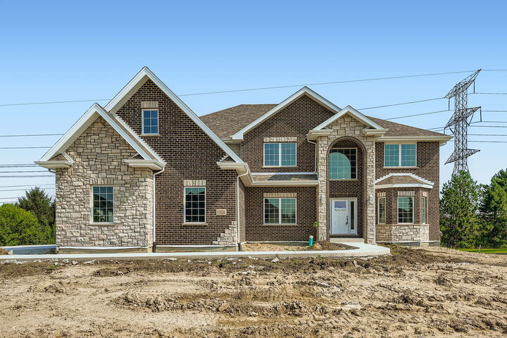 11826 Leigh Court  Frankfort IL 60423 photo