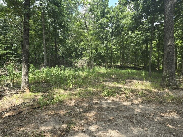 Property Photo:  Lot 2 Esculapia Hollow Road  AR 72758 