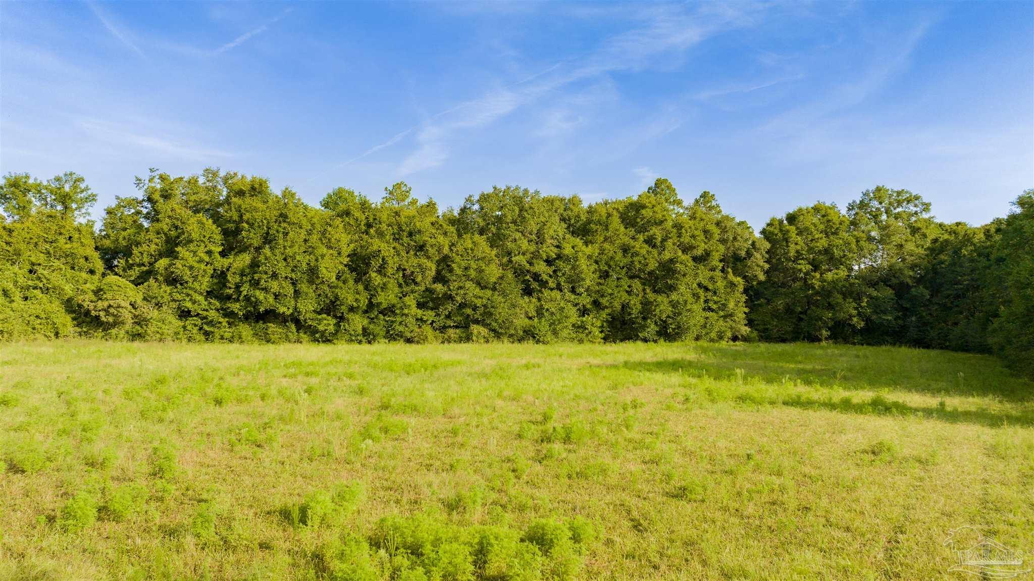 Property Photo:  00 Cobbtown Rd  FL 32565 