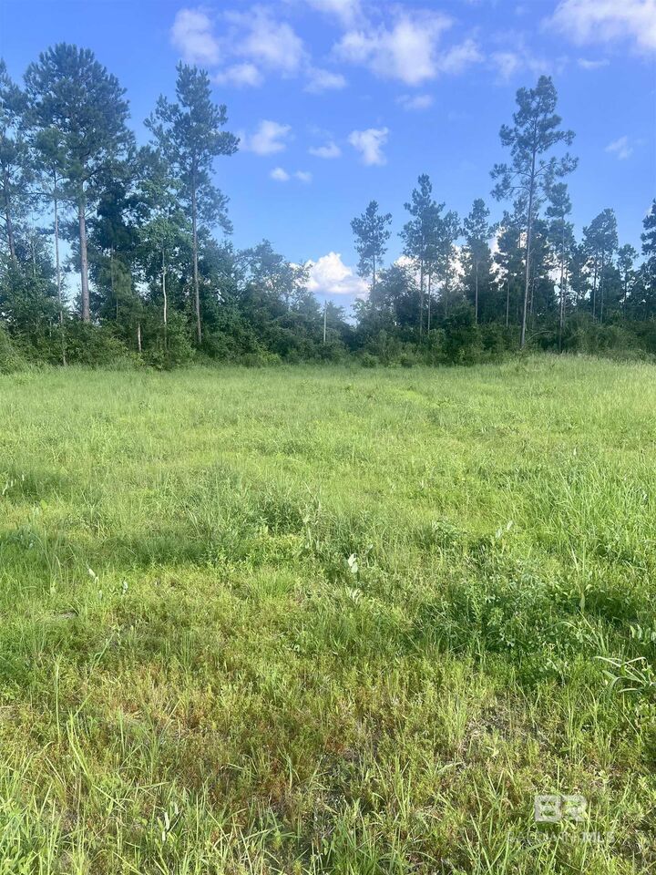 Property Photo:  24736 Linholm Road  AL 36567 