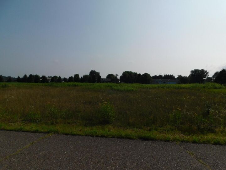 Property Photo: Lot 10 Golf Dr WI 54452