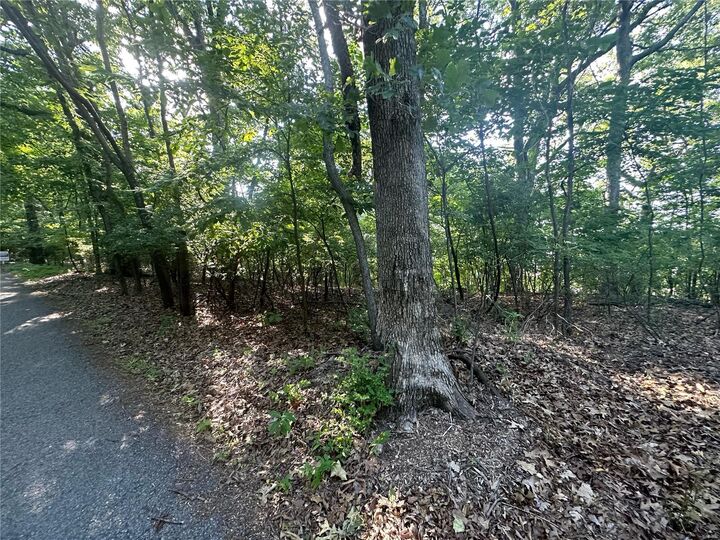 Property Photo: 923 Hickory Lane MO 63026