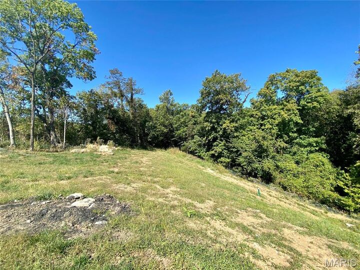 Property Photo: 2045 Lily Avenue MO 63122