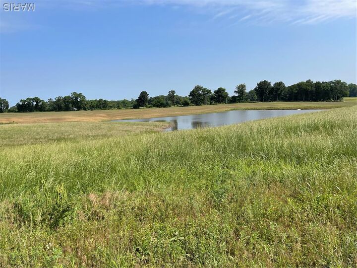 Property Photo:  0 Tract 3 County Road 260/262  MO 63825 