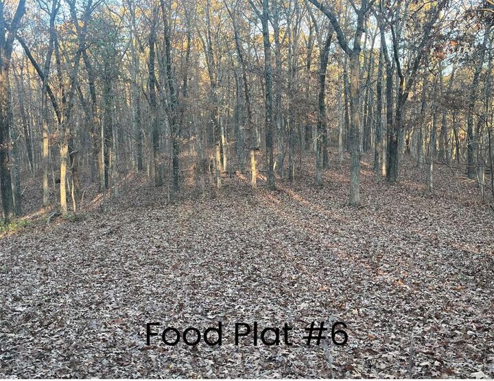 Property Photo:  0 (320+/- Acres) Lodge Road  MO 65441 