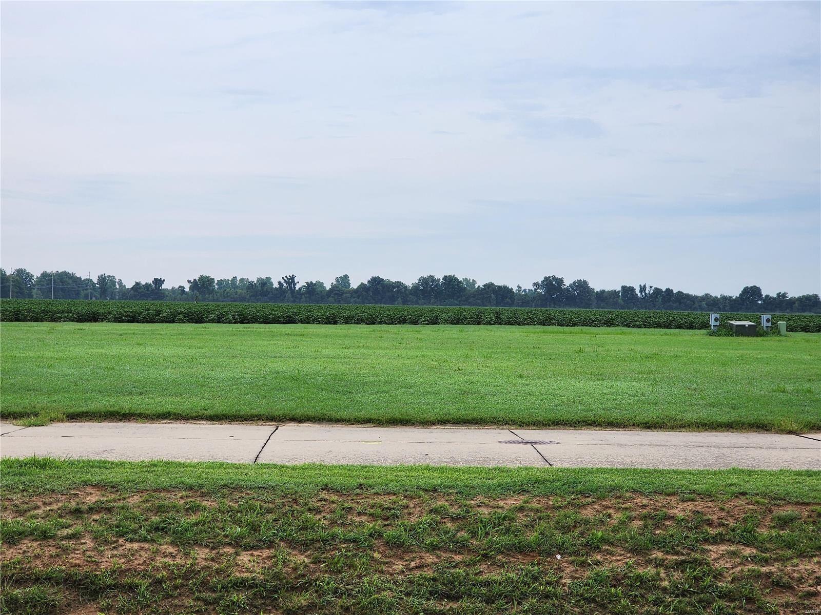 Property Photo:  804 Bollweevil Blvd  MO 63801 