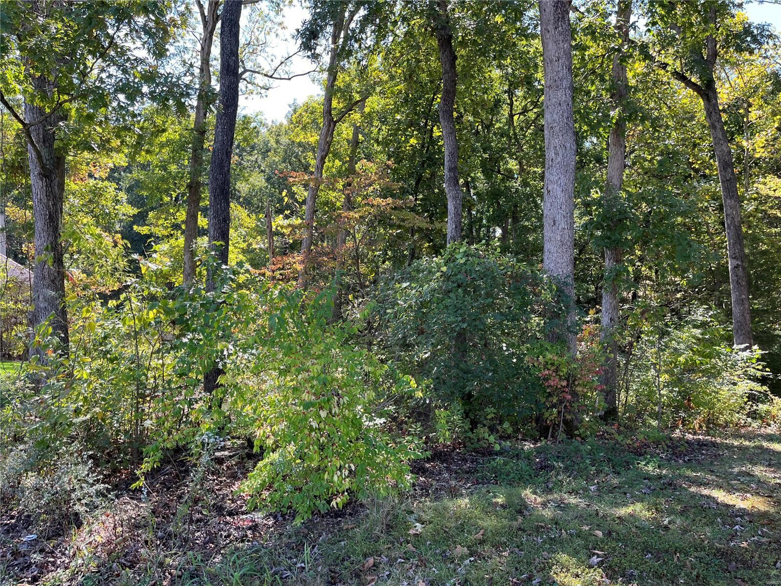 Property Photo: 353 Incline Villlage (Walnut) Lane MO 63348