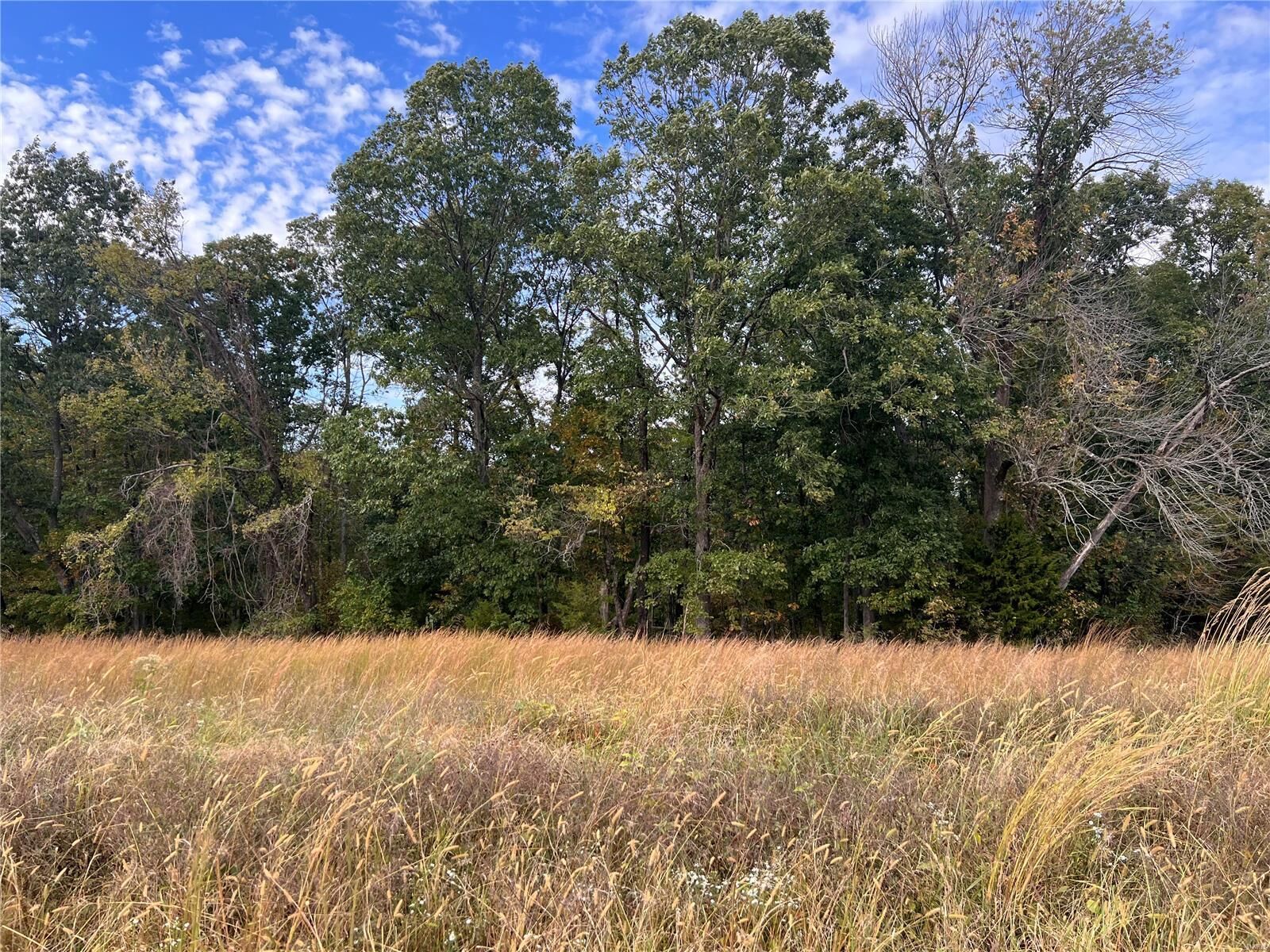 Property Photo: 3 Gratzer Lane MO 63077