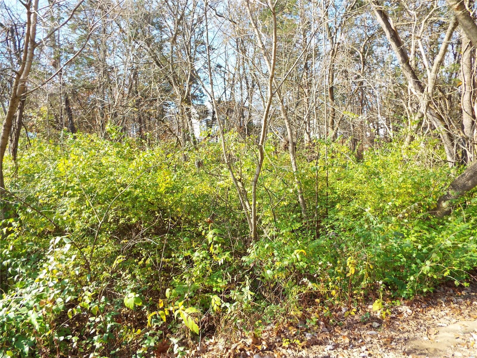 Property Photo: 240 Incline Villlage (Red Cedar) MO 63348