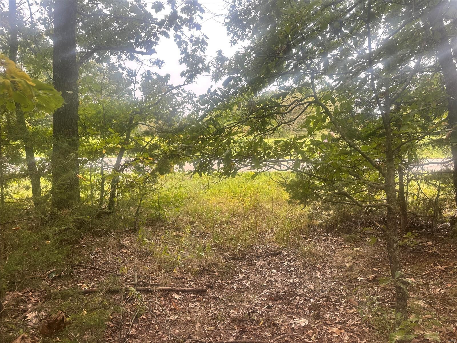 Property Photo: 0 10 Acres State Hwy E MO 63630