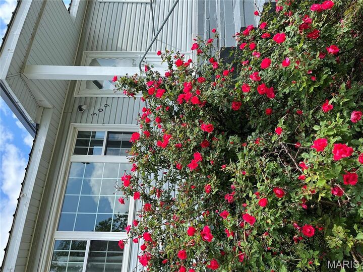 309 Central Avenue  Marble Hill MO 63764 photo