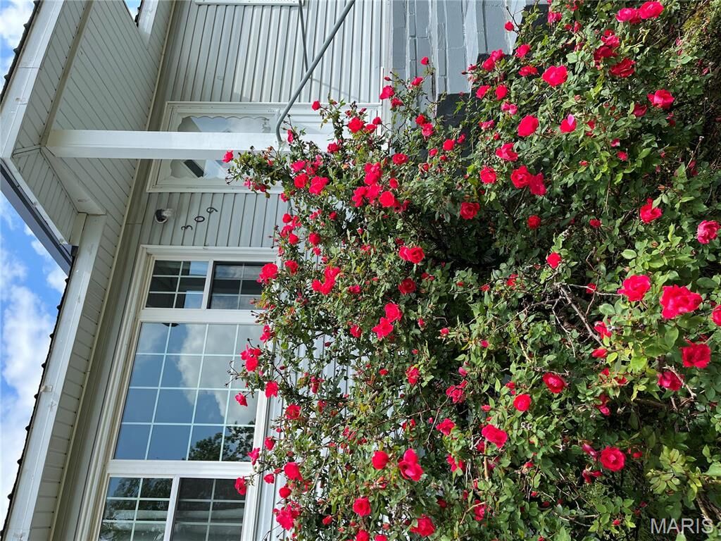 Property Photo:  309 Central Avenue  MO 63764 