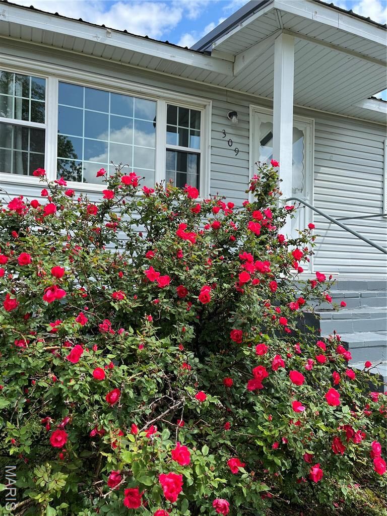Property Photo:  309 Central Avenue  MO 63764 
