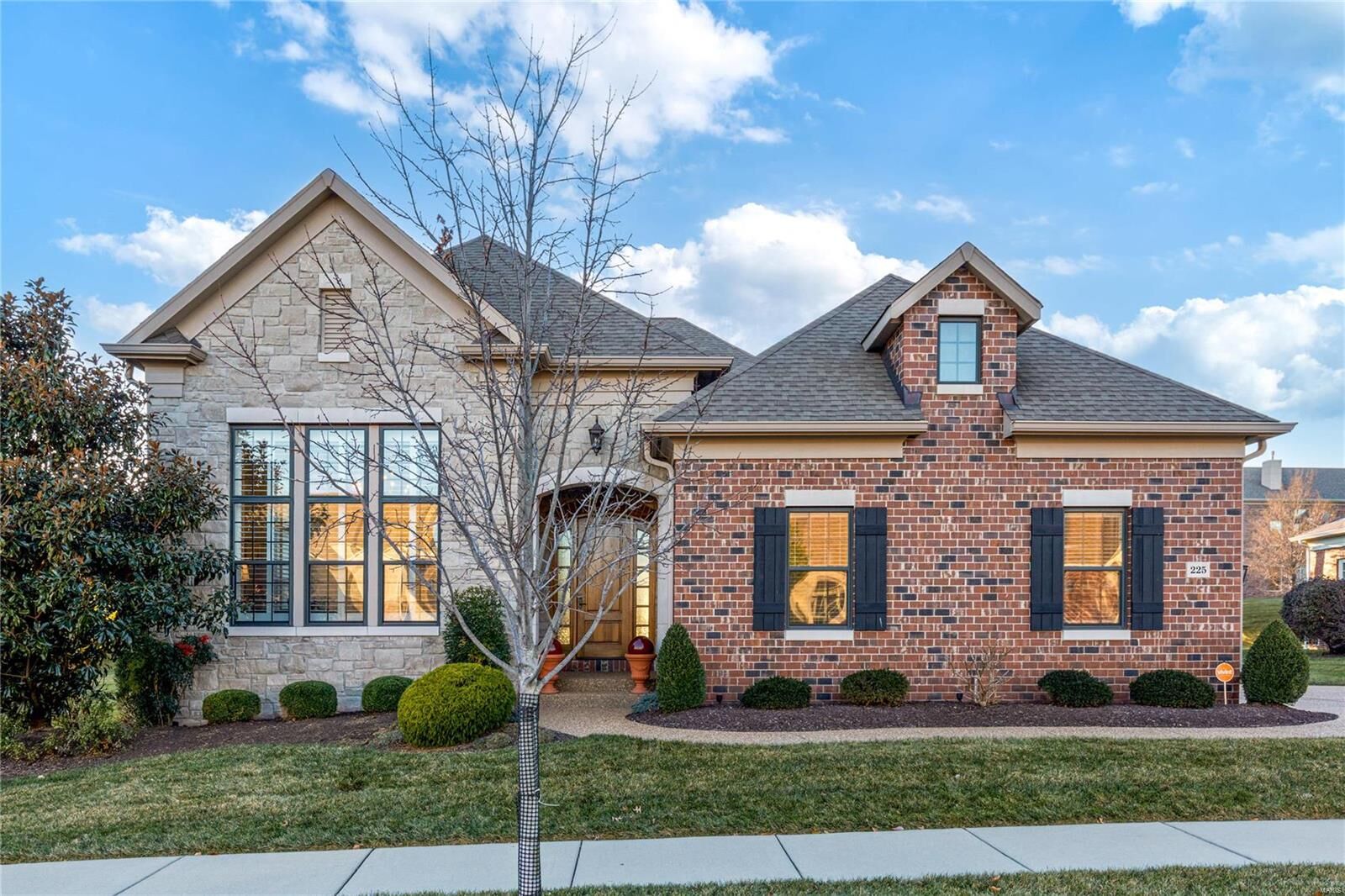 Property Photo: 225 Mulberry Row Court MO 63141