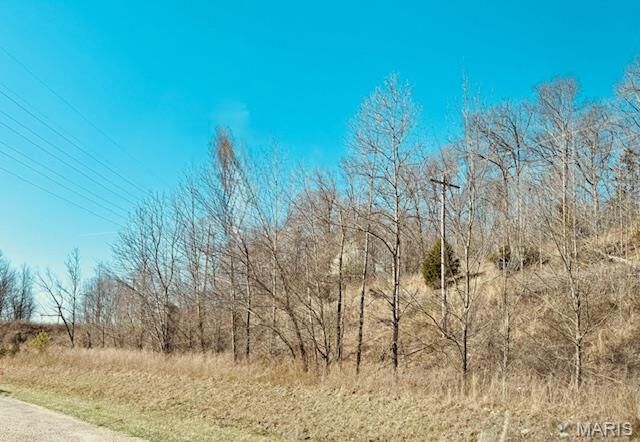 Property Photo:  0 State Highway J  MO 63755 
