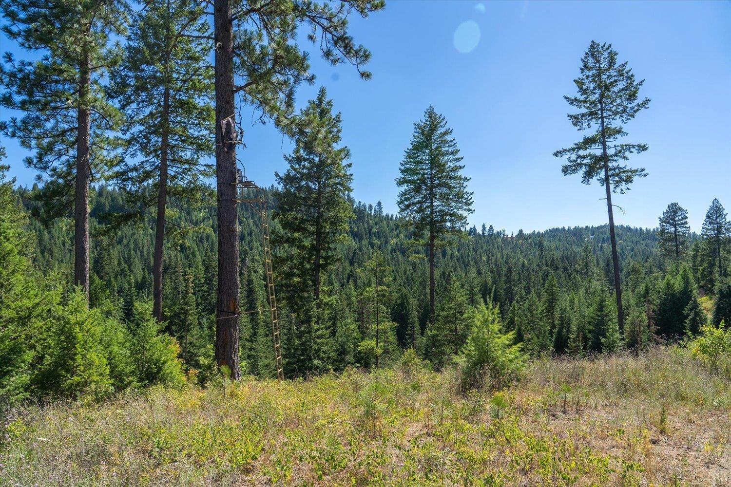 Property Photo: 21620 E Lakeview Rd WA 99027