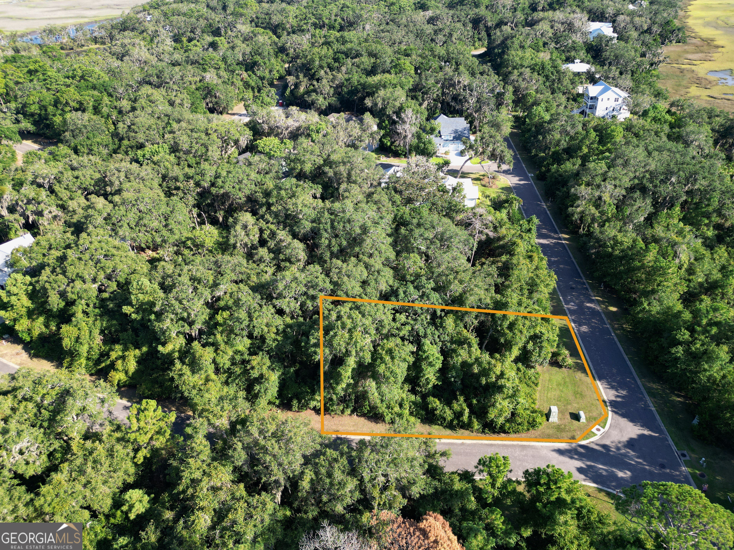 V/L 519 Massias Lane + Campbell Parkway  St. Marys GA 31558 photo