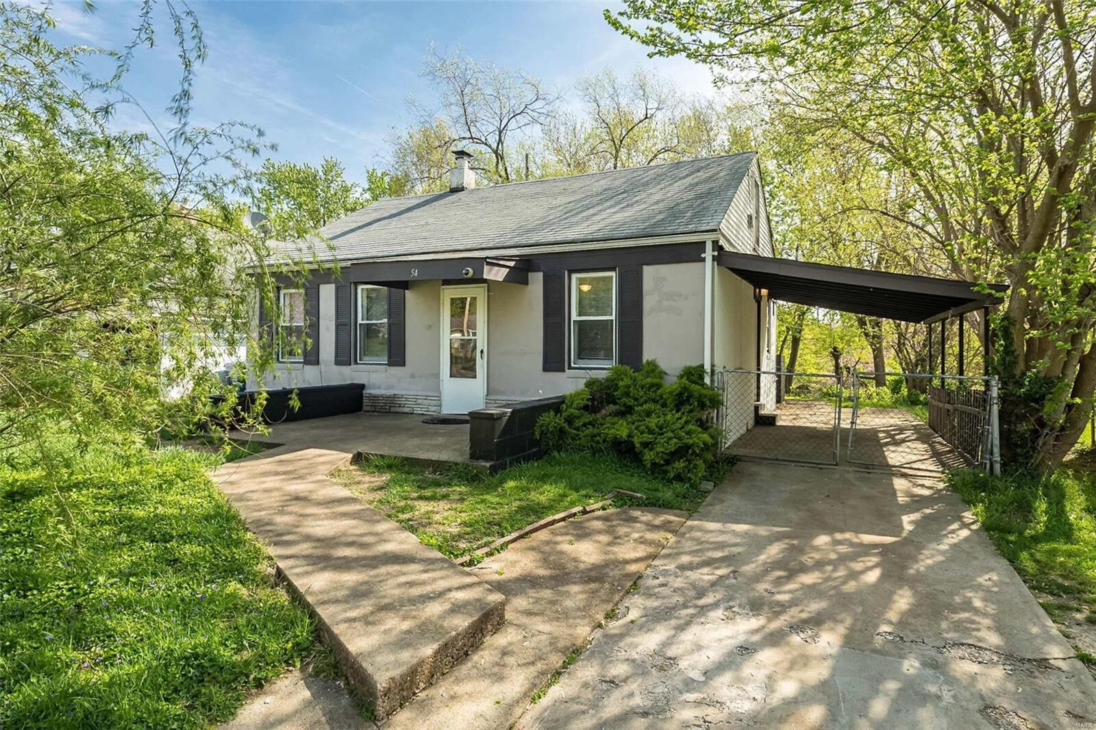 Property Photo:  54 S Dellwood Avenue  MO 63135 