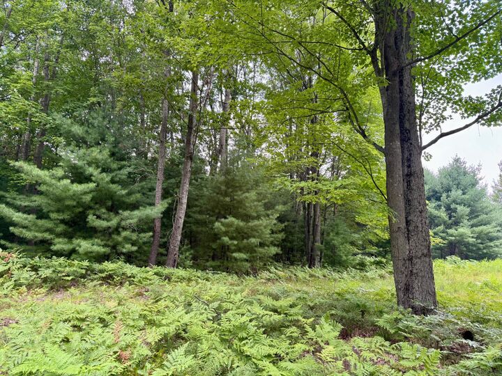 Property Photo: 6362 Cedar Trace MI 49346