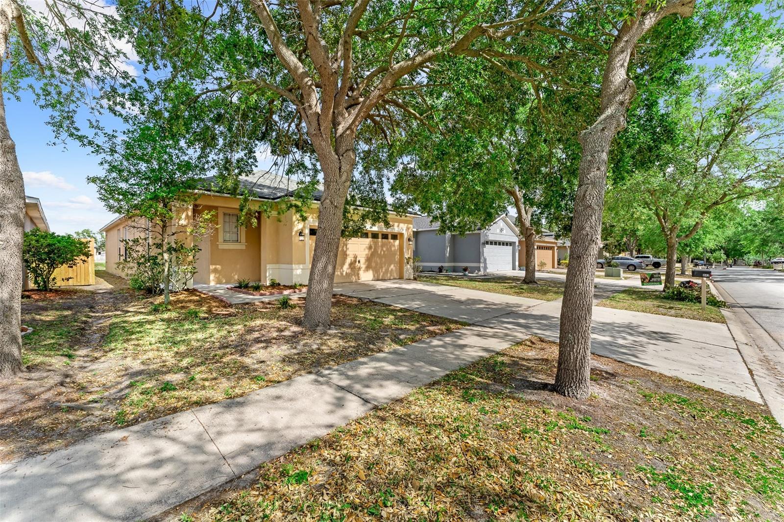 Property Photo: 8420 Deer Chase Drive FL 33578