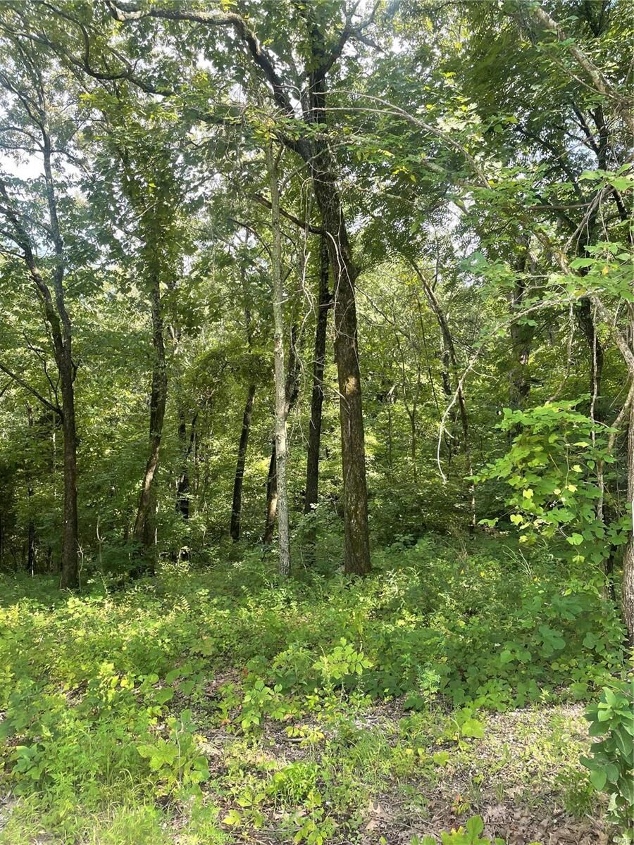 Property Photo: 1616 Fox Court MO 63028