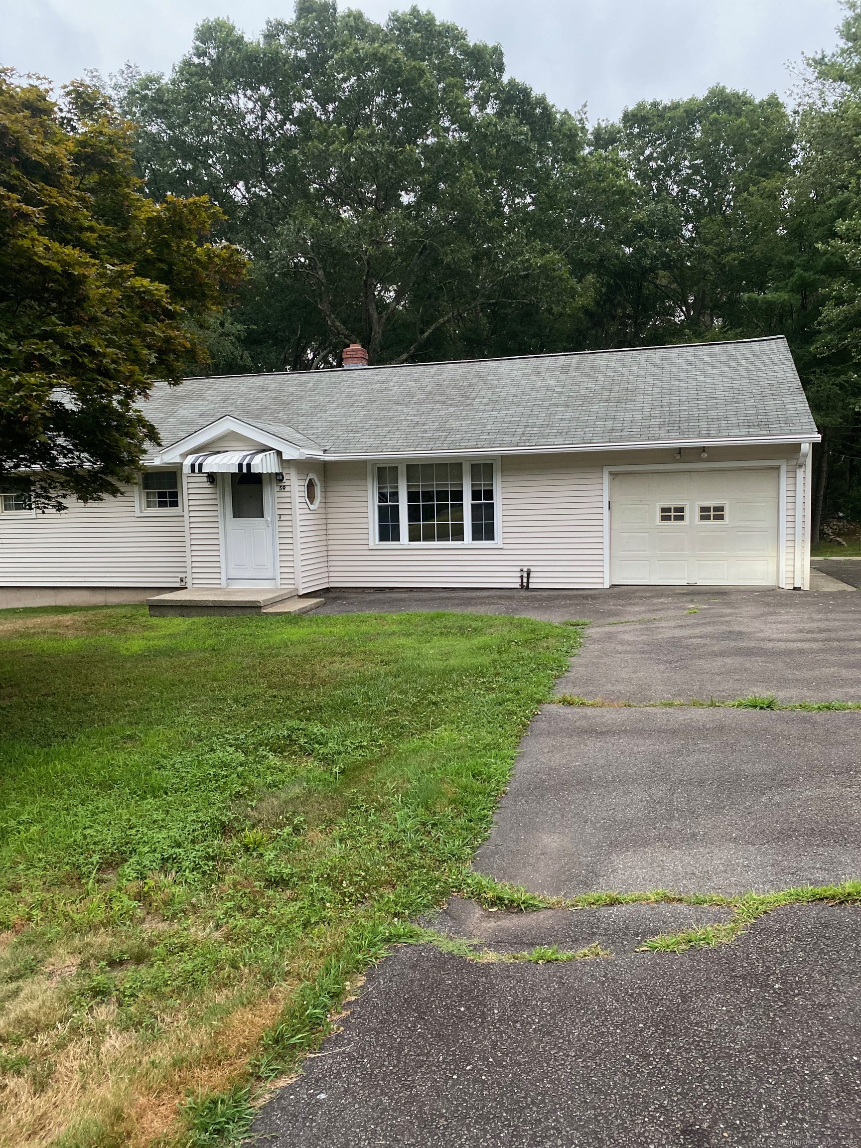 Property Photo: 59 Chestnut Drive CT 06418
