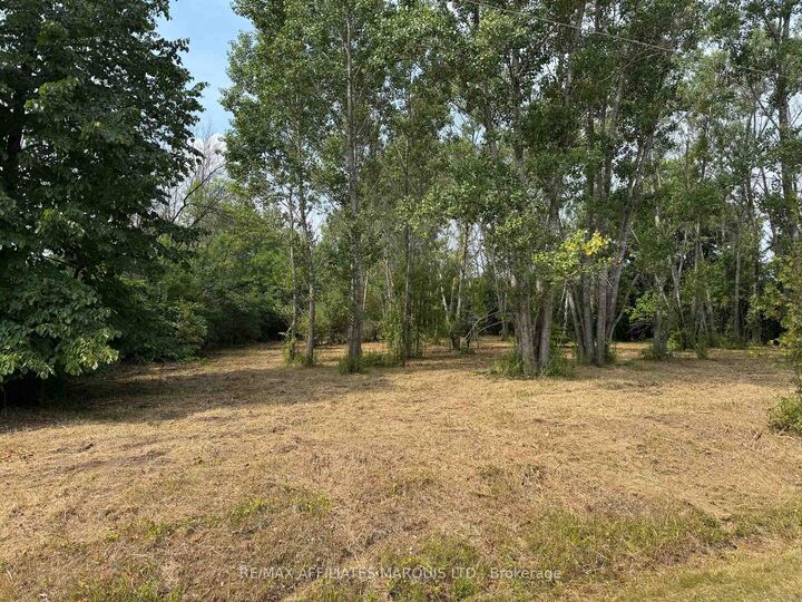 Lot Archer Road — photo 1