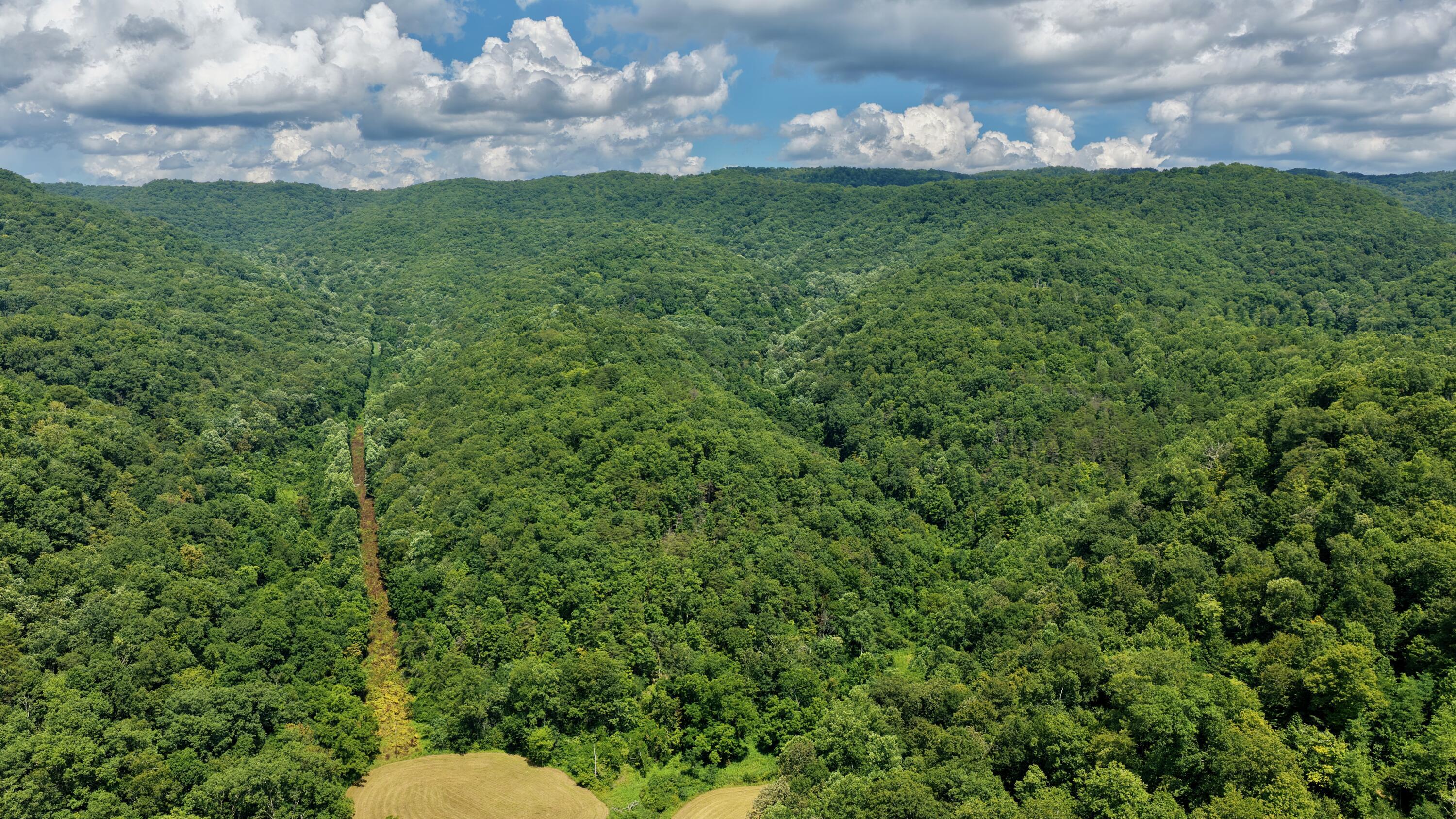 Property Photo: Rt 7 Nr Creamery Rd WV 24985