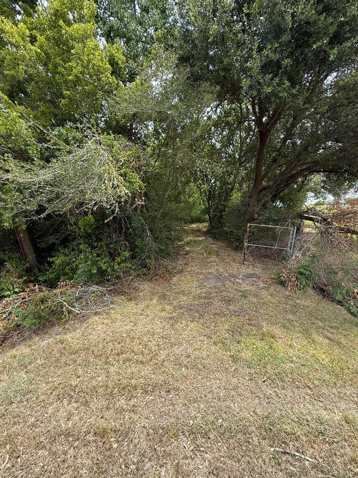 Property Photo:  0 Lake Road  TX 77568 