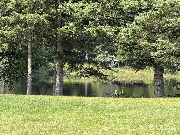 Property Photo:  N13515 Newberg Road  MI 49815 