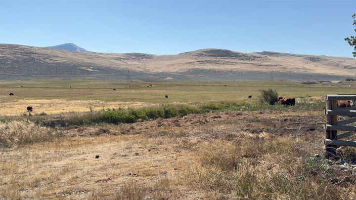 Property Photo:  Nhn Mt Highway 28  MT 59845 