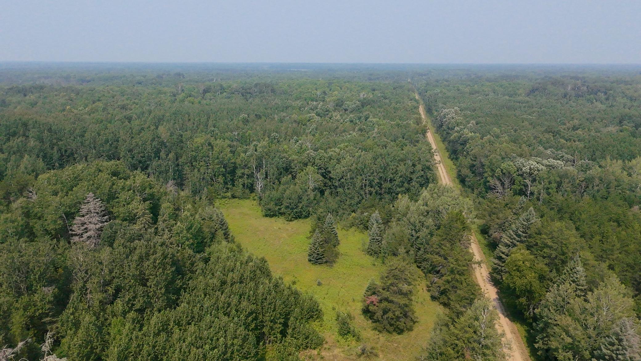 Property Photo:  Tbd 13 Acres Ponderosa Road NE  MN 56650 