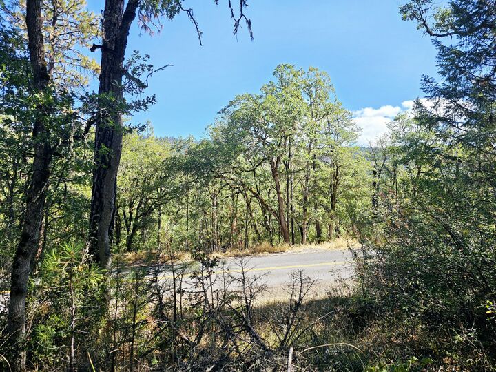 6531 Crowfoot Road  Trail OR 97541 photo