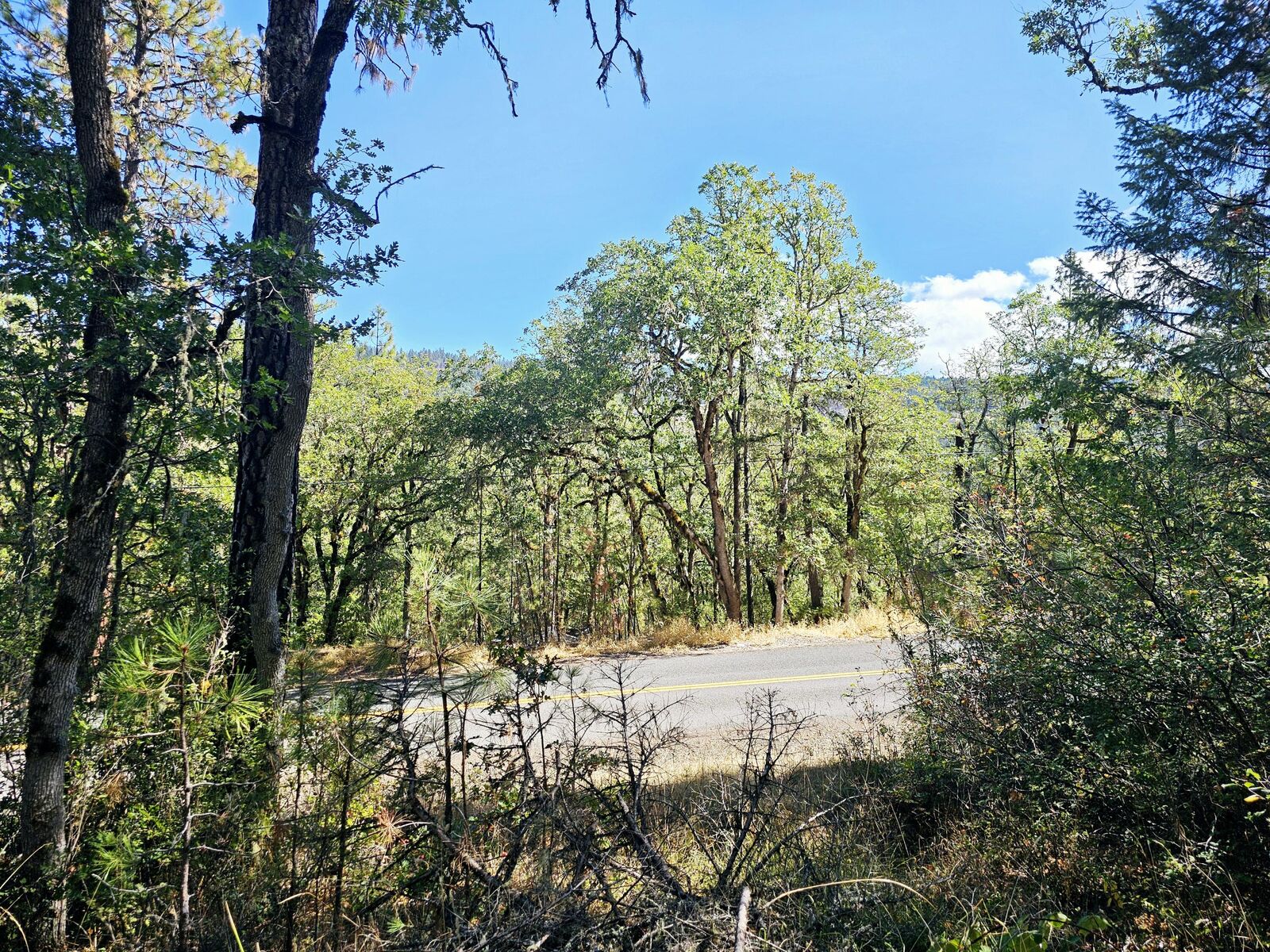 Property Photo: 6531 Crowfoot Road OR 97541