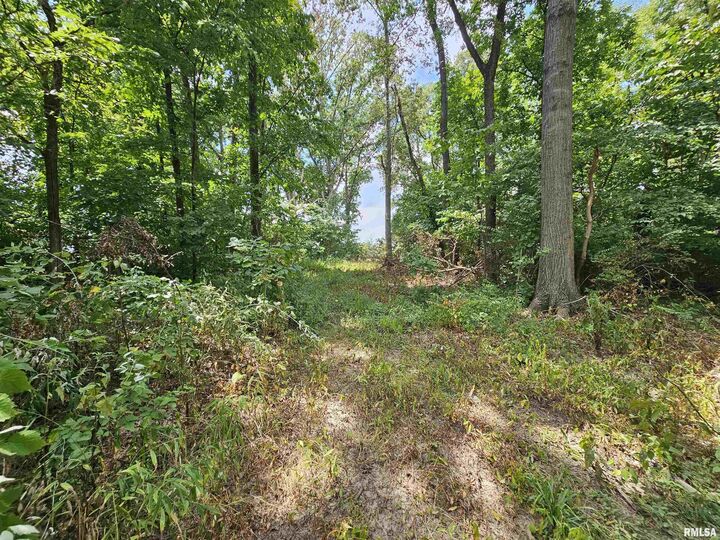 0000 N Cash Lane  Waltonville IL 62894 photo