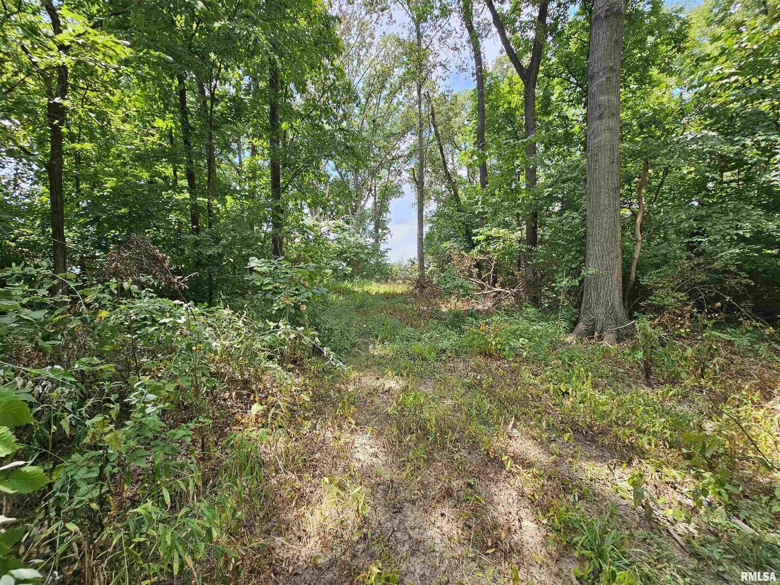 Property Photo:  0000 N Cash Lane  IL 62894 