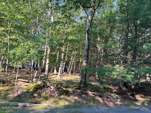 Property Photo:  Redwood Lot 53 Road  PA 18337