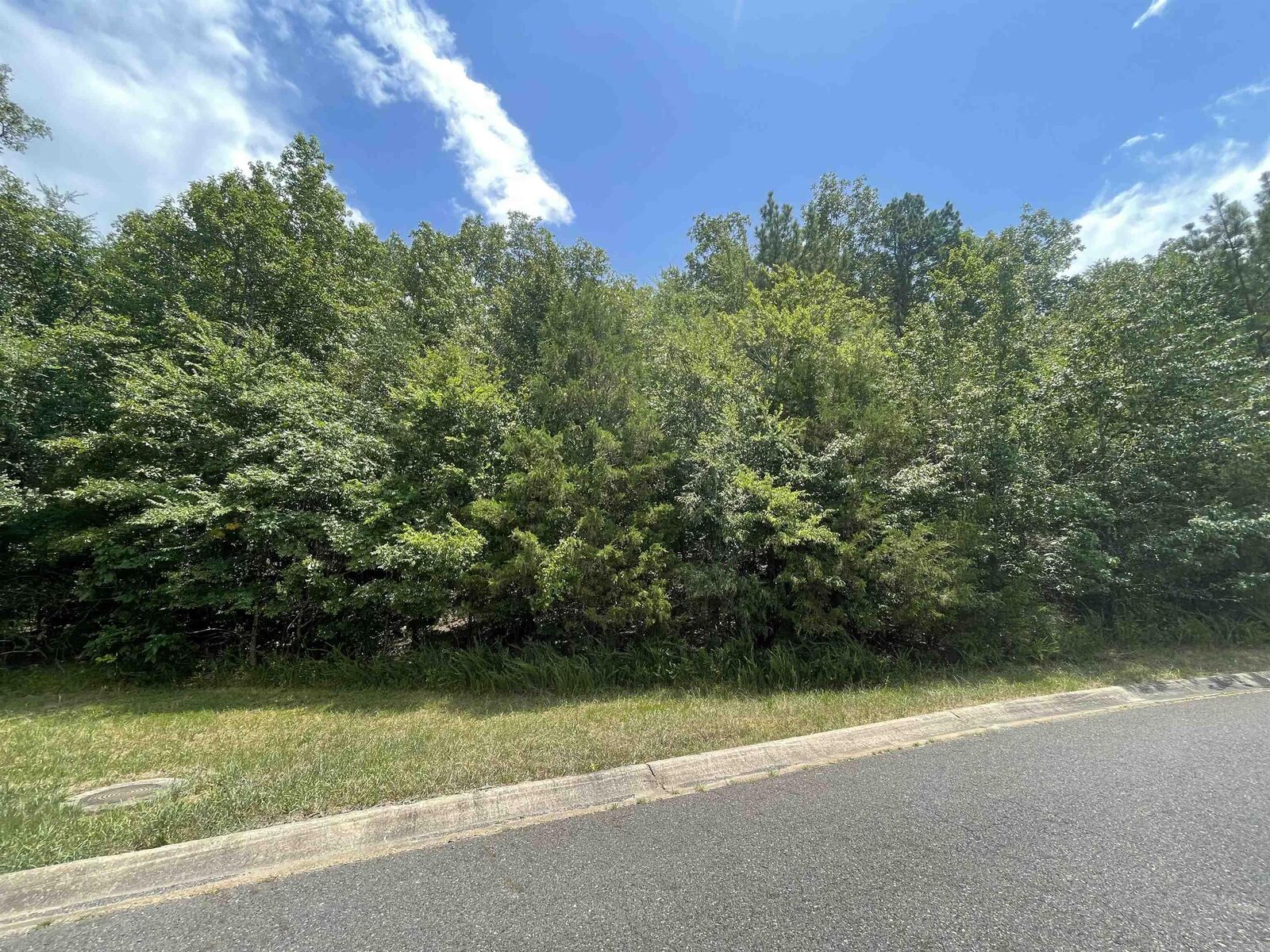Property Photo: Lot 37 Saratoga Street AR 71901
