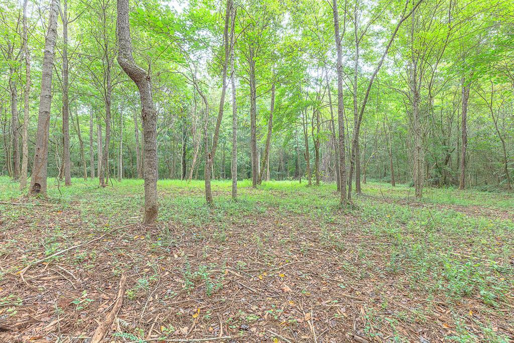 Property Photo:  Tract 5 Old Dalton Cleveland Hwy  GA 30710 